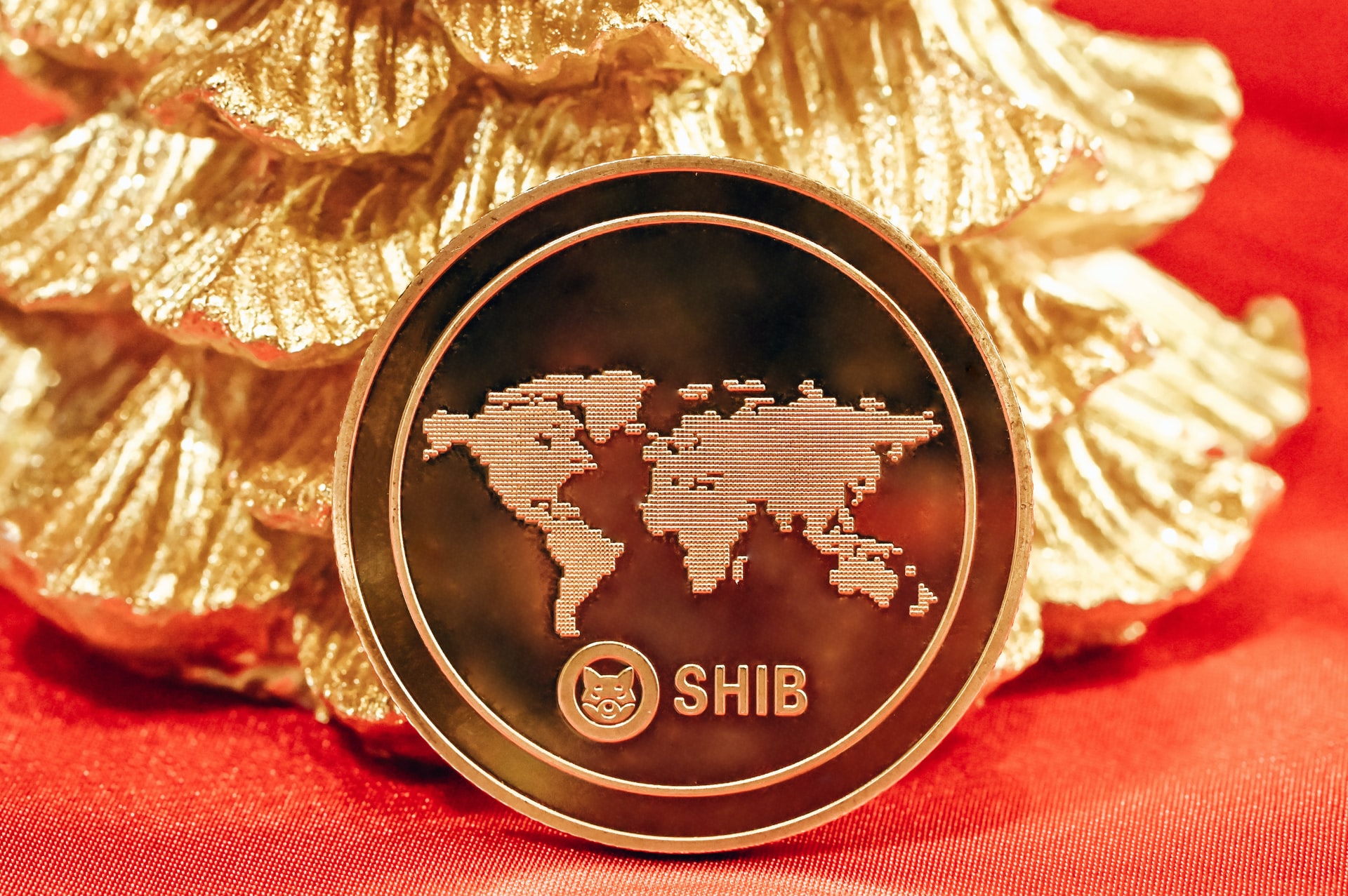 An Image showing how to invest in Shiba Inu Coin and become a millionaire